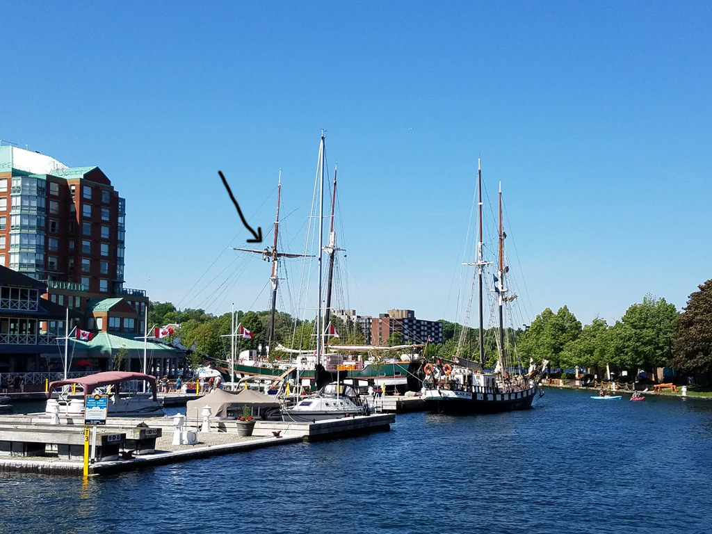 Brockville tall ship
